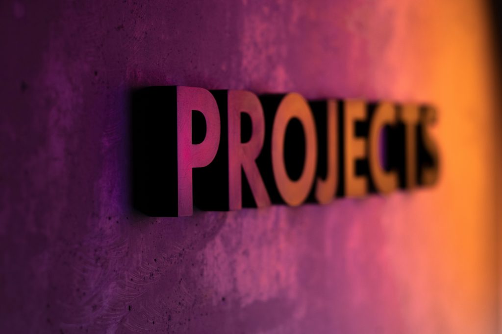 Differences Between Project DPro and Programme DPro Phases